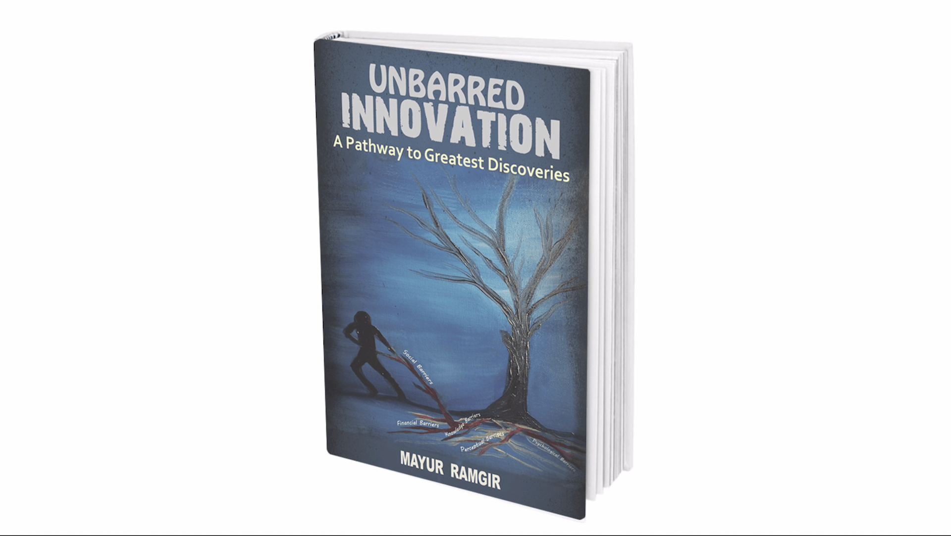 Unbarred Innovation book cover